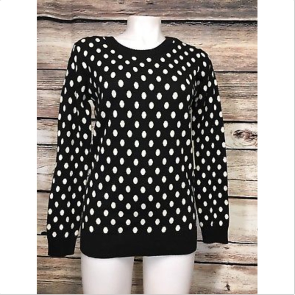 41 Hawthorn Small Gideon Polka Dot Sweater
