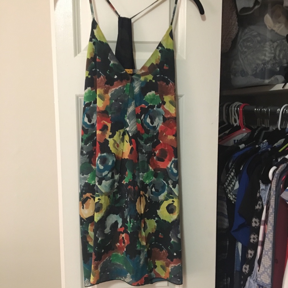 Alice and Olivia dress