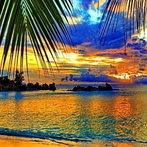 Meet your Posher, Wendi