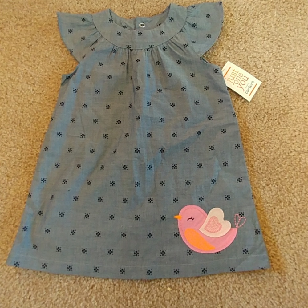 💰3 For $30💰 Blue Dress Carter's