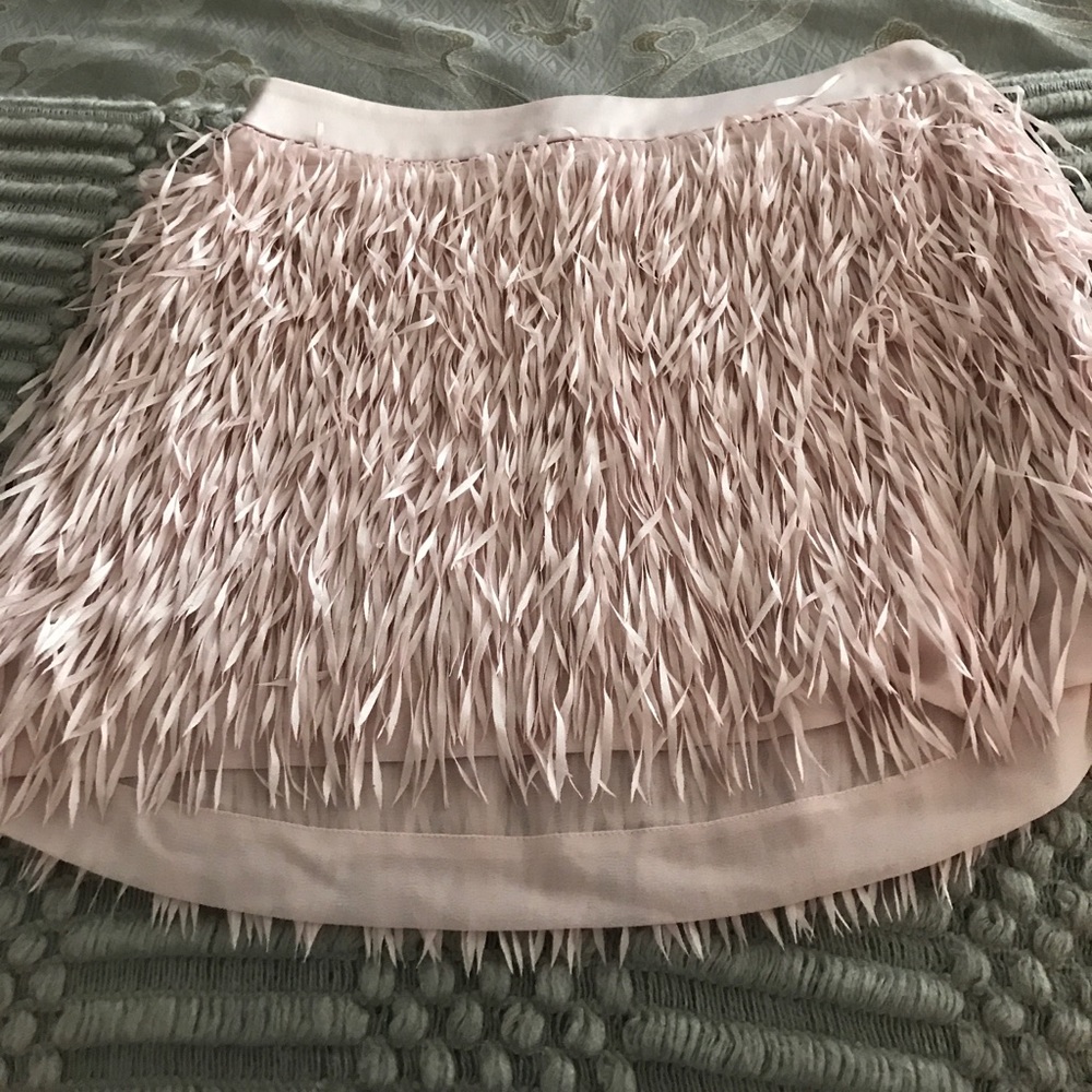 Express skirt - Picture 2 of 2