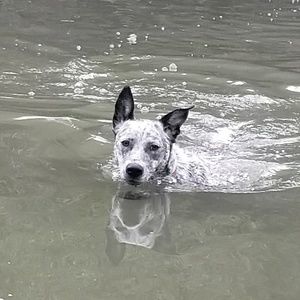 Meet your Posher, Shellie