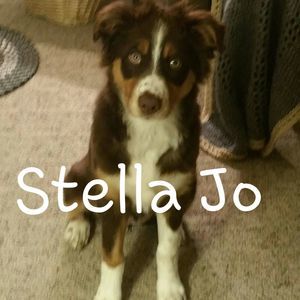 Meet your Posher, Debbie