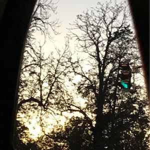 Meet your Posher, Ariel