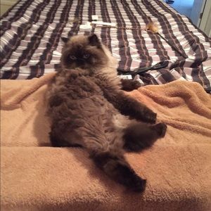 Meet your Posher, Ali