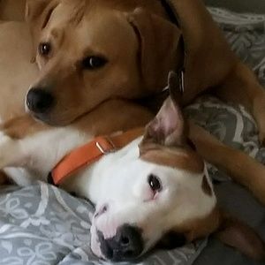 Meet your Posher, Madeline