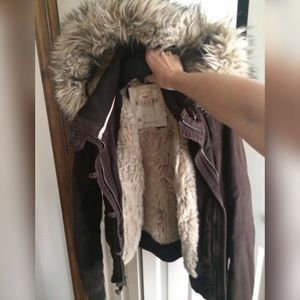 Hollister Winter Coat