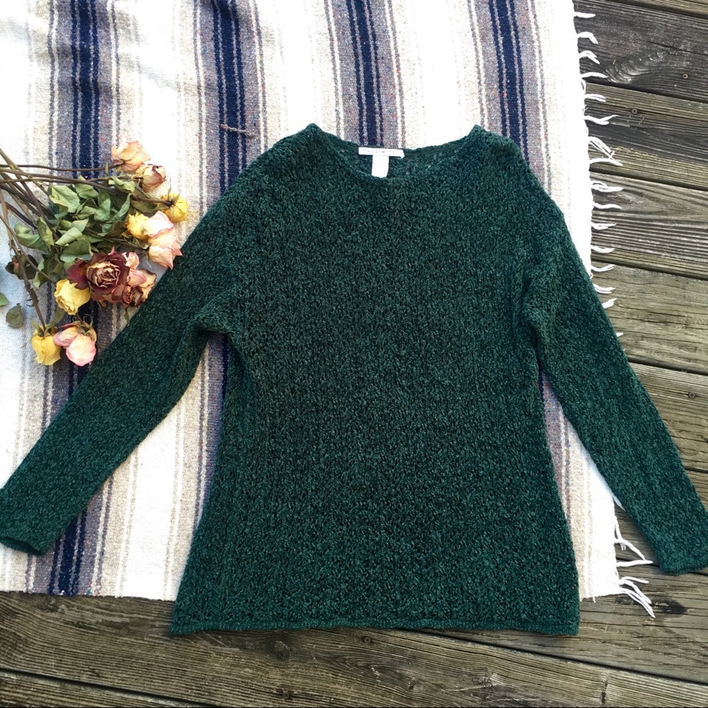 Teal The Limited Knit see-through sweater