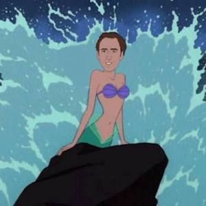 Meet your Posher, Zach