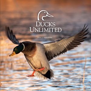 Meet your Posher, Chase