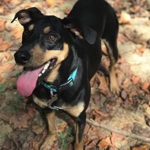 Meet your Posher, Kassidy