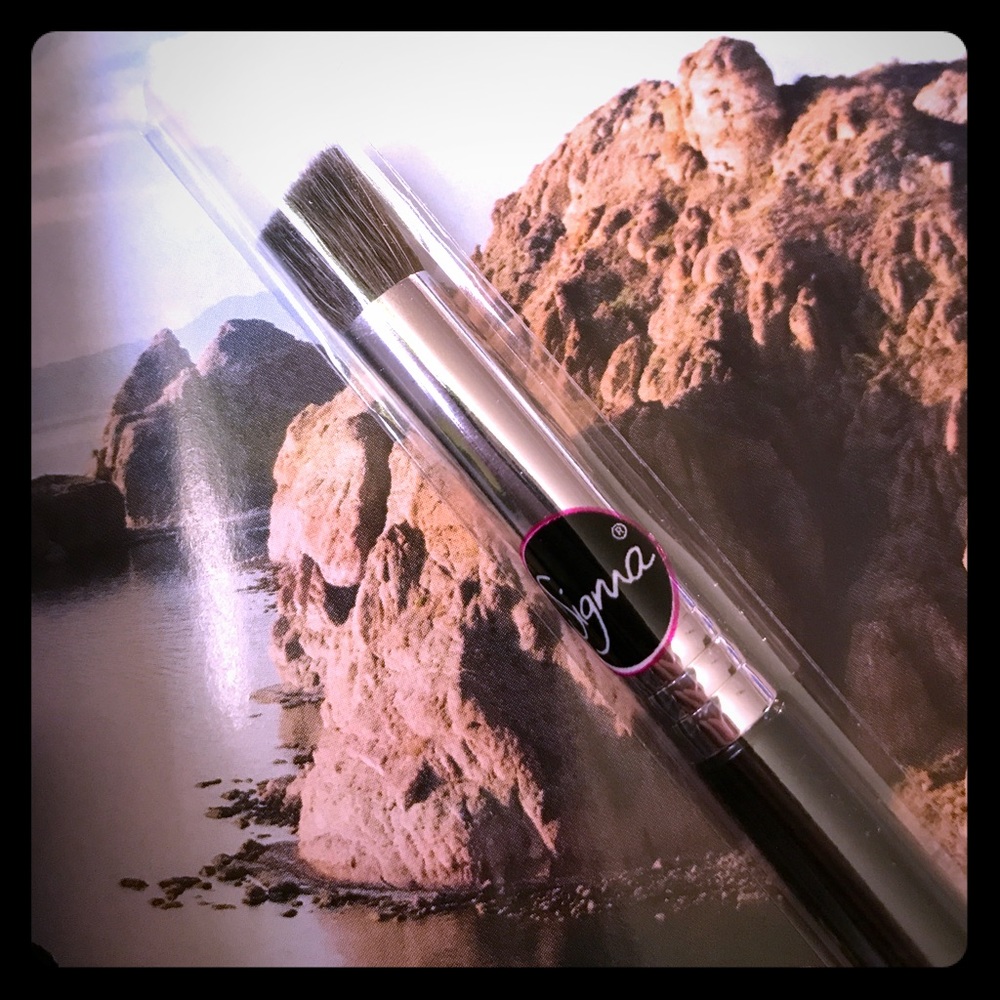 💕SIGMA 💕 Highlight Diffuser Brush E71~