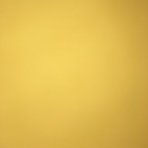 Meet your Posher, Briana