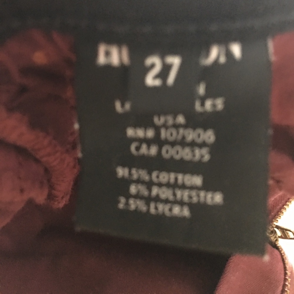‼️Burgandy Hudson skinny jeans size 27‼️
