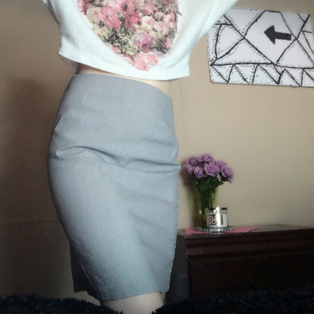 Gray with black striped pencil skirt