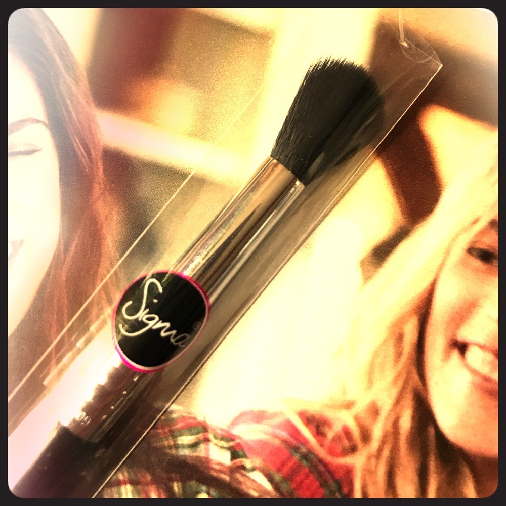 🎄3 for $25🎄S I G M A Diffused Crease Brush • E38