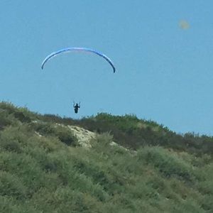 Meet your Posher, Ofelia