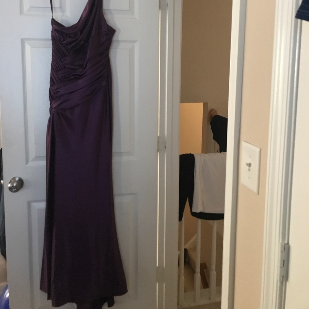 Cinderella Design Plum colored formal gown