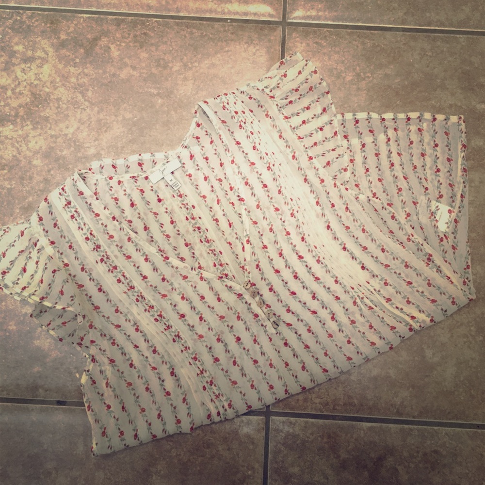 Joie shear silk blouse