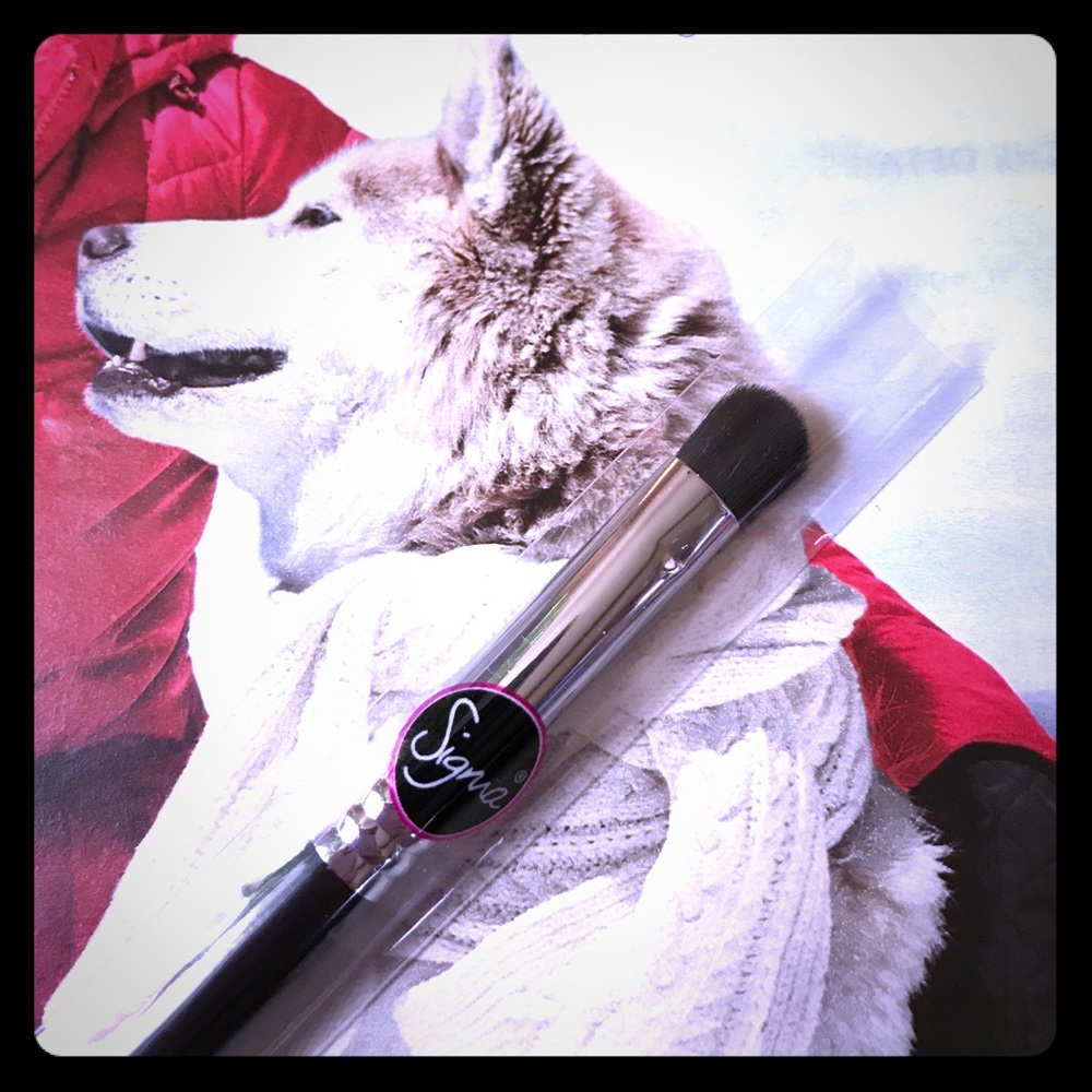 🎄3 for $25🎄S•I•G•M•A Exact Blend Brush• E32⛄️
