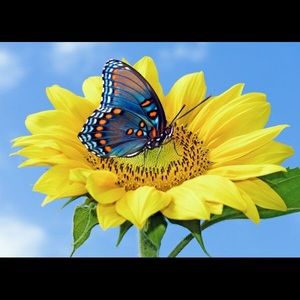 Meet your Posher, Audrey