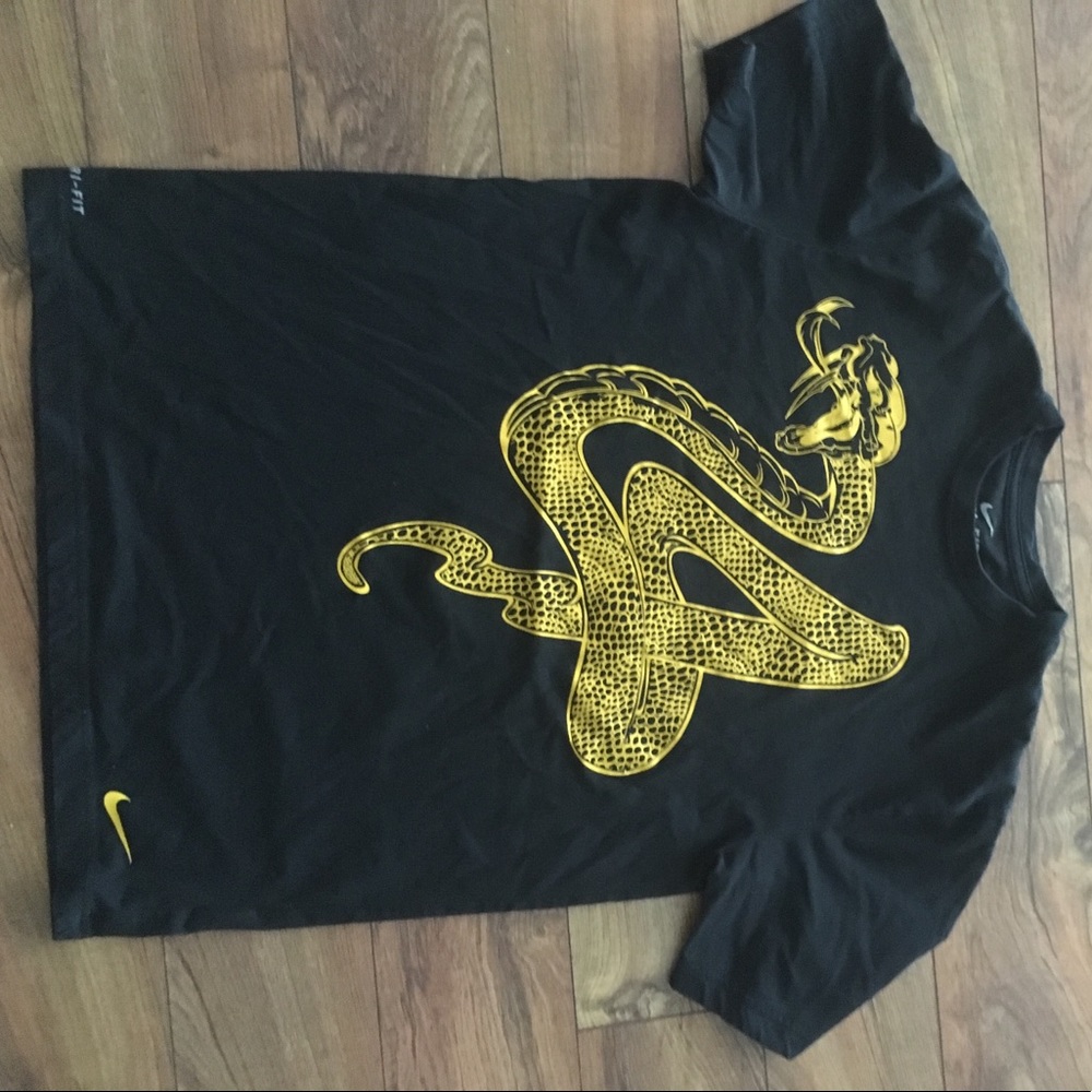 Men's Nike Dri Fit short sleeve shirt