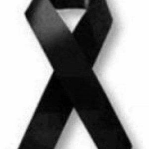 Meet your Posher, Leo