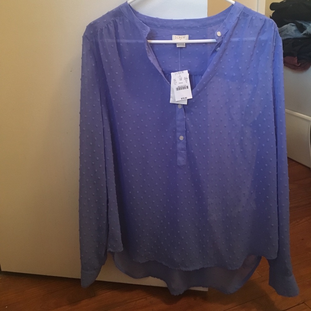 TAGS ON blue blouse from J. Crew