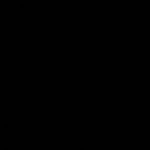 Meet your Posher, Noah