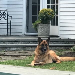 Meet your Posher, Marcus