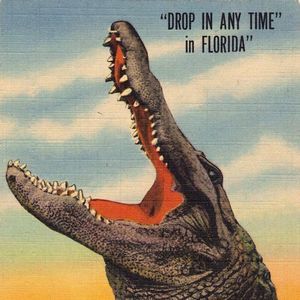 Meet your Posher, Erik