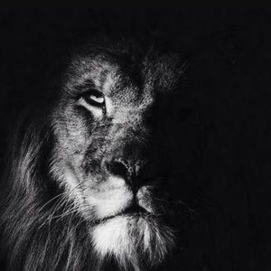 Meet your Posher, Joe