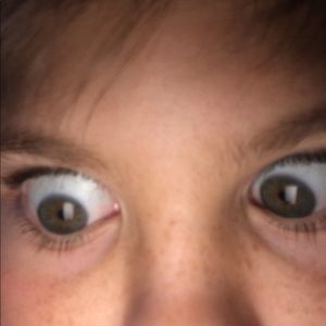 Meet your Posher, Landen