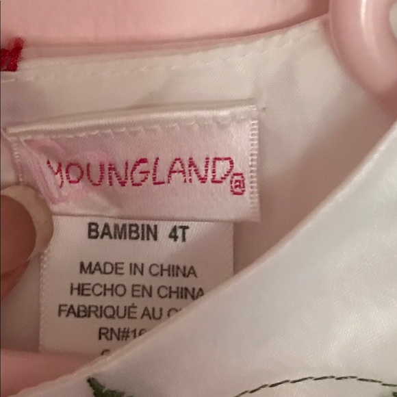 Girl holiday dress 4T - Picture 7 of 7