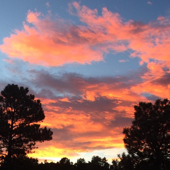 Meet your Posher, Jennifer - Picture 1 of 1