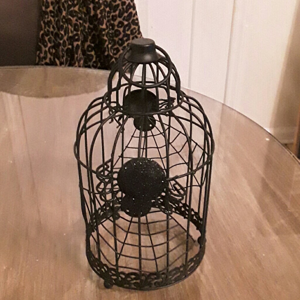 Spider cage