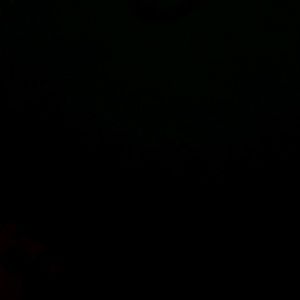 Meet your Posher, Dave