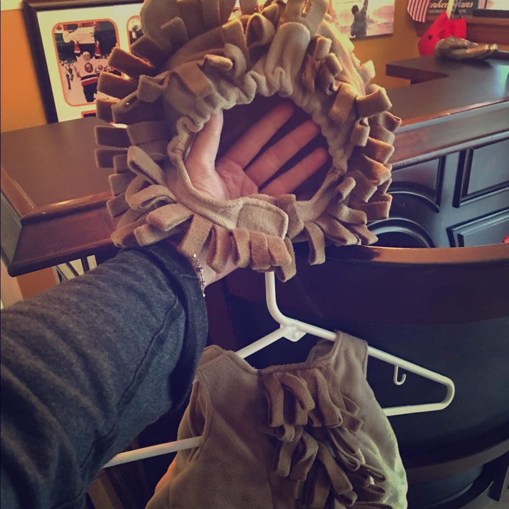 Lion costume