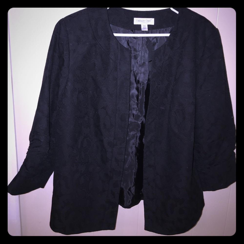 Gorgeous Black Cold Water Creek 18w jacket