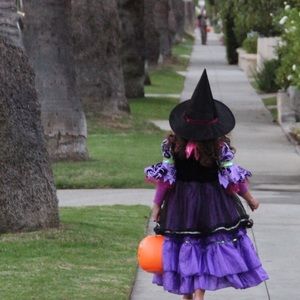 Stunningly Beautiful Witch Costume!