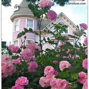 Meet your Posher, Barbara