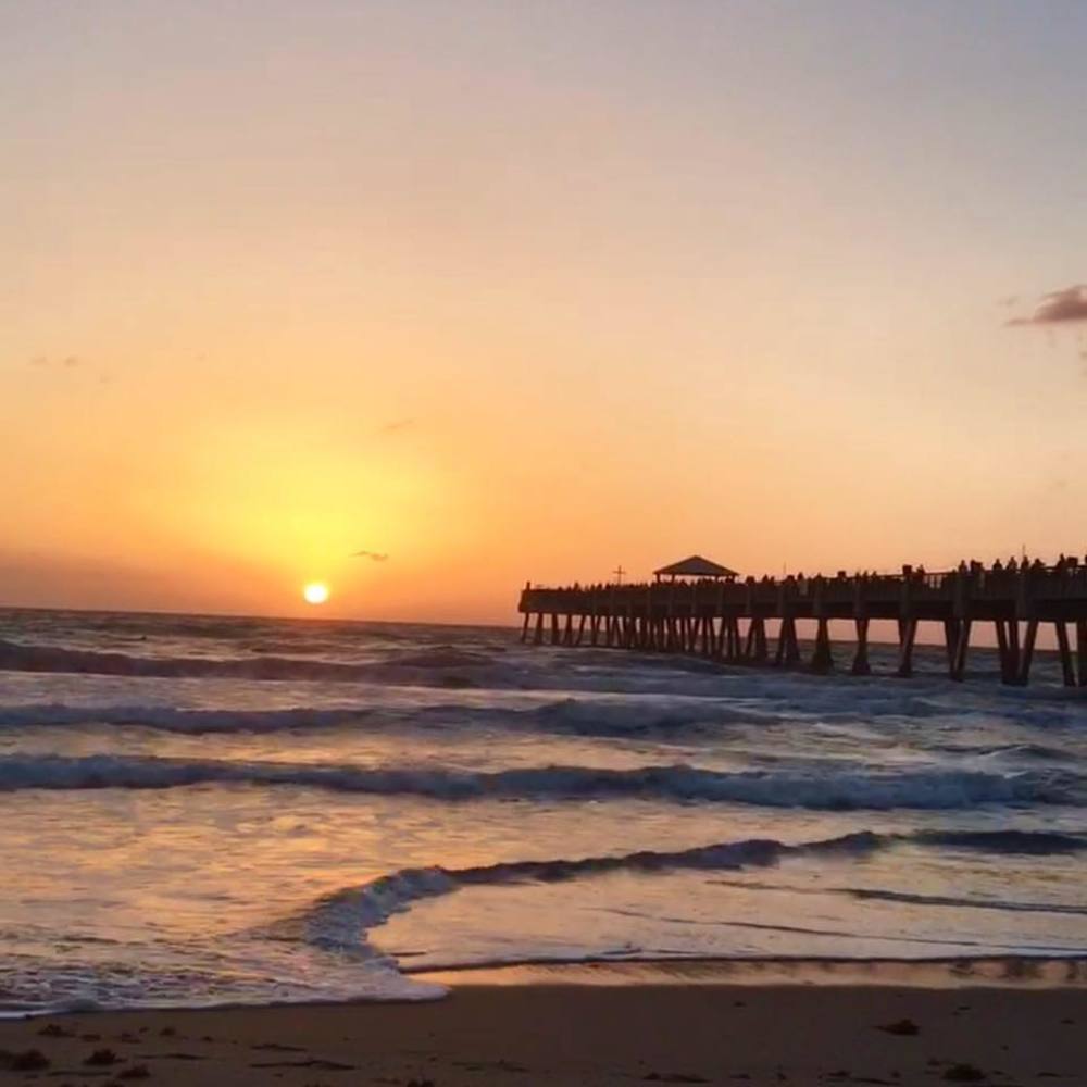 Meet your Posher, Kamryn