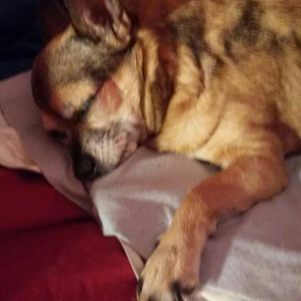 The most beautiful loving baby girl.