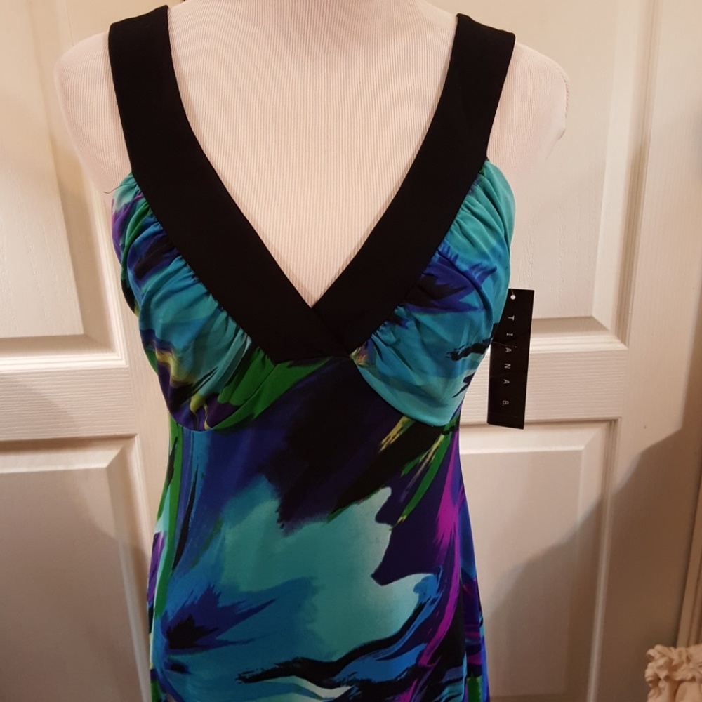 NWT. TIANA B. Beautiful Maxi Dress. Size Sm/Med. - Picture 2 of 8