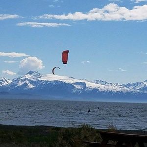 Meet your Posher, Dora