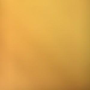 Meet your Posher, Shauna