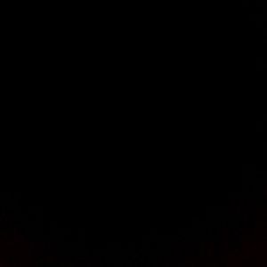 Meet your Posher, Jaylen