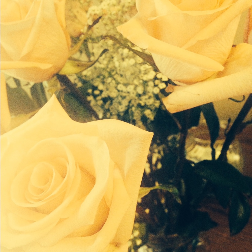 Meet your Posher, Alli