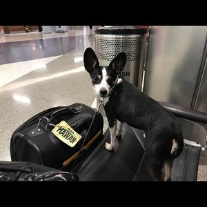 Meet your Posher, Joanne