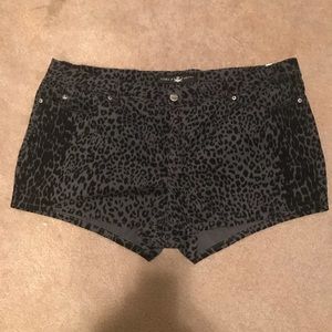 Torrid gray leopard print shorts/ size 28** read!